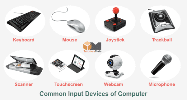 What is the purpose of an input device?