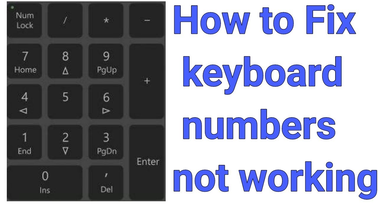 How to fix keyboard numbers not working