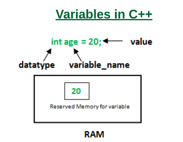 Поле value. Variables in java. Reference variable джава это. Java variables name. The value of variable in java.