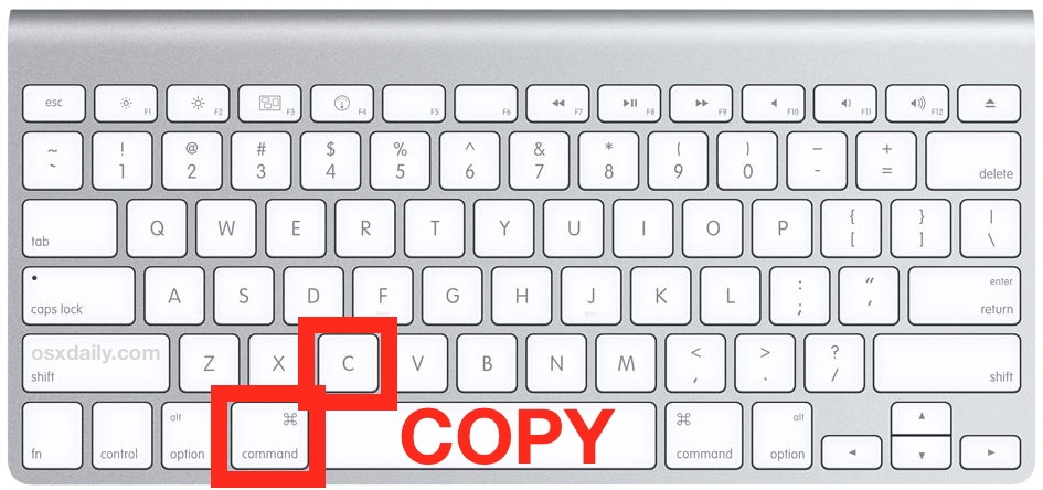 how-to-copy-a-picture-on-mac