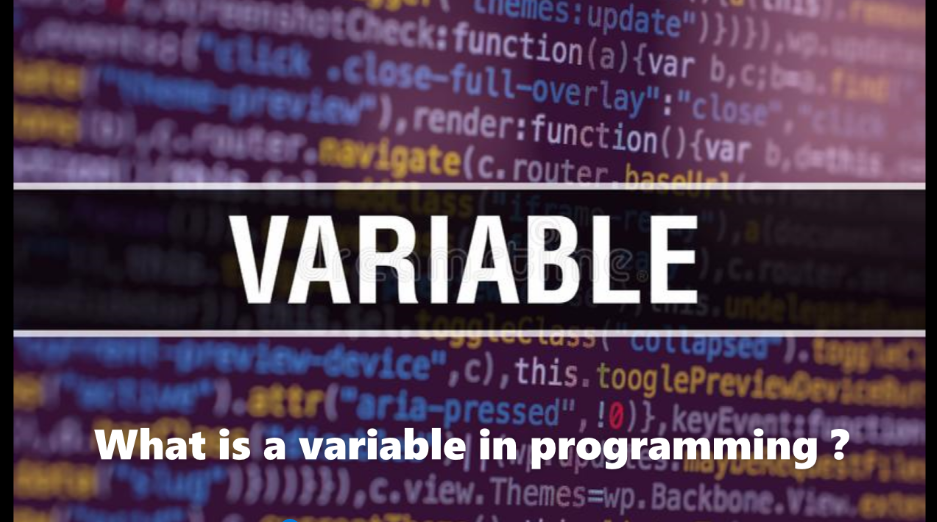 what is a variable in programming