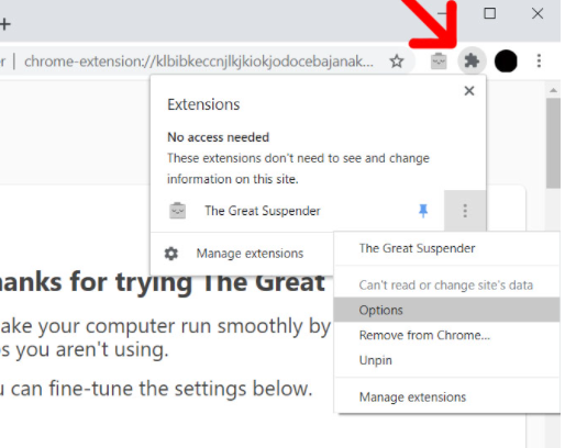 extension on chrome