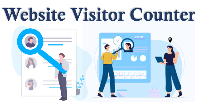 Website Visitor Counter