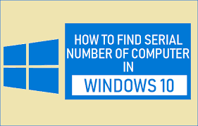 How to find serial number on windows 10?