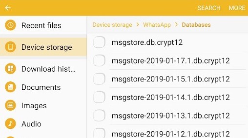 How-to-download-Whatsapp-Backup-from-file-manager