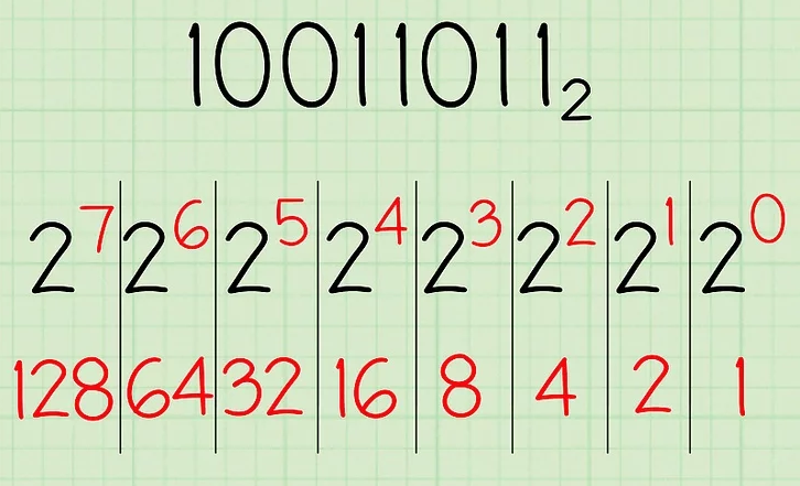 example of number 10011011