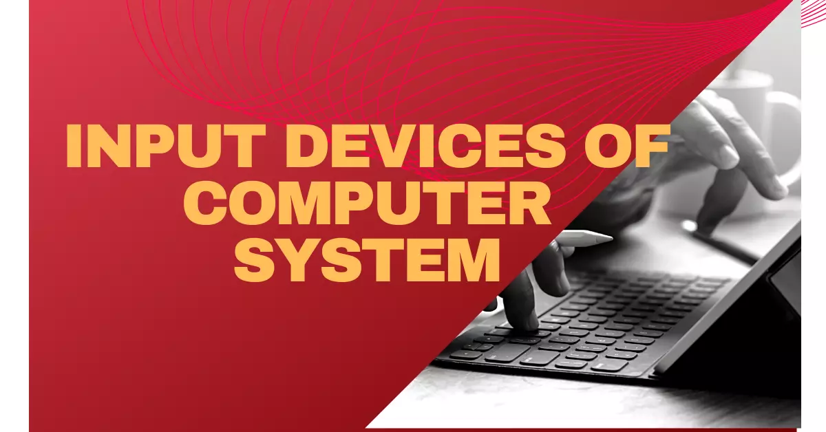 What are the Input Devices of a Computer?