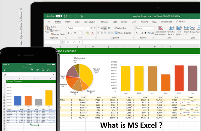 what is MS Excel