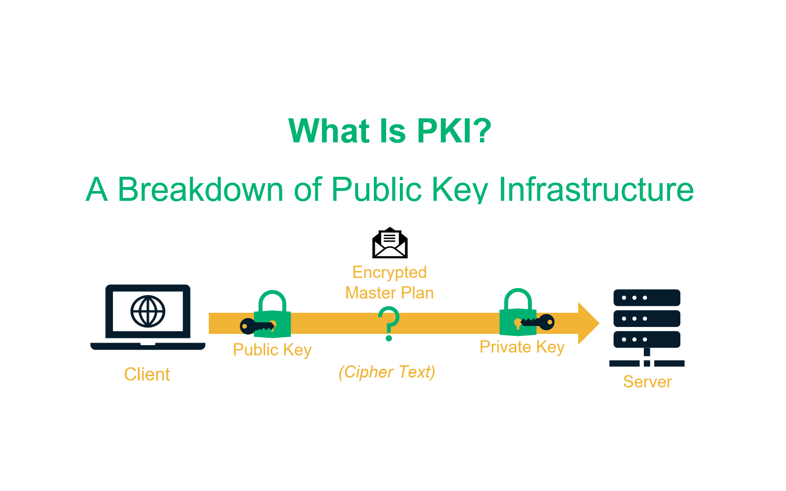 what is pki