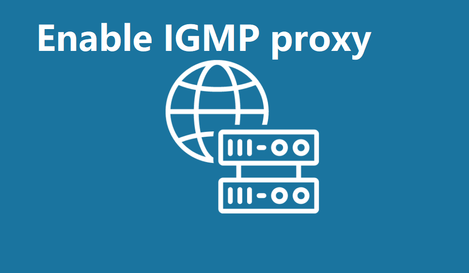 enable-IGMP-proxy
