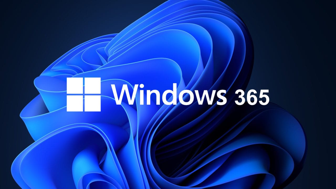 window 365