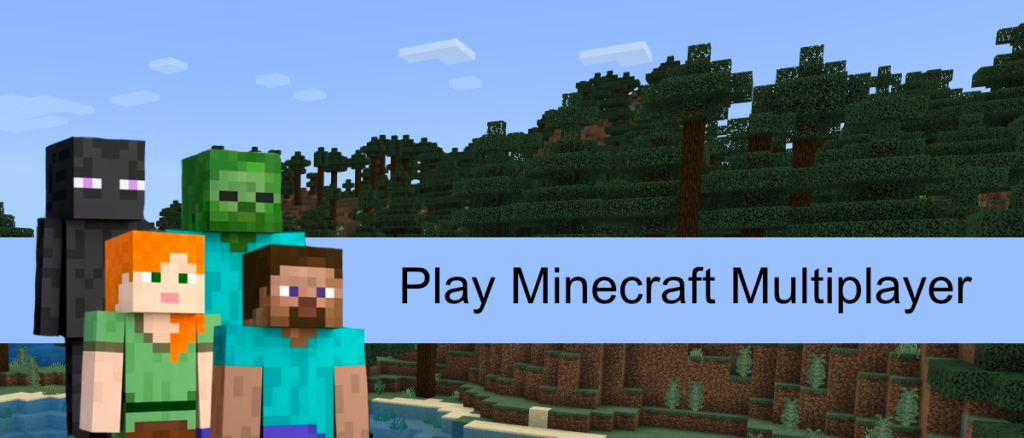 Play Minecraft Multiplayer on a LAN & Online Server